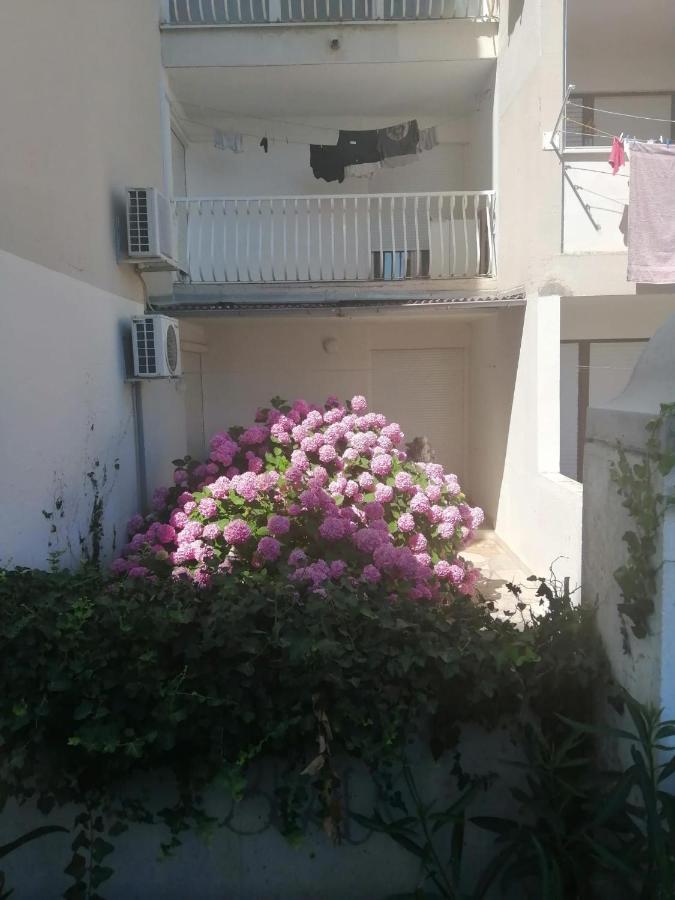 Hortensija Split Dış mekan fotoğraf