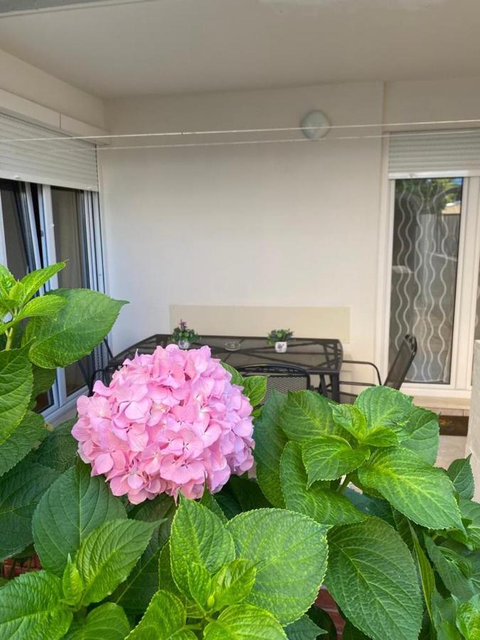 Hortensija Split Dış mekan fotoğraf